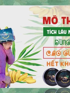 Cao Gừng Tan Mỡ Bụng Thiên Nhiên Việt - 8936079033002