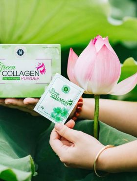 Diệp lục Collagen – Da đẹp - dáng thon - cải thiện sinh lý nữ