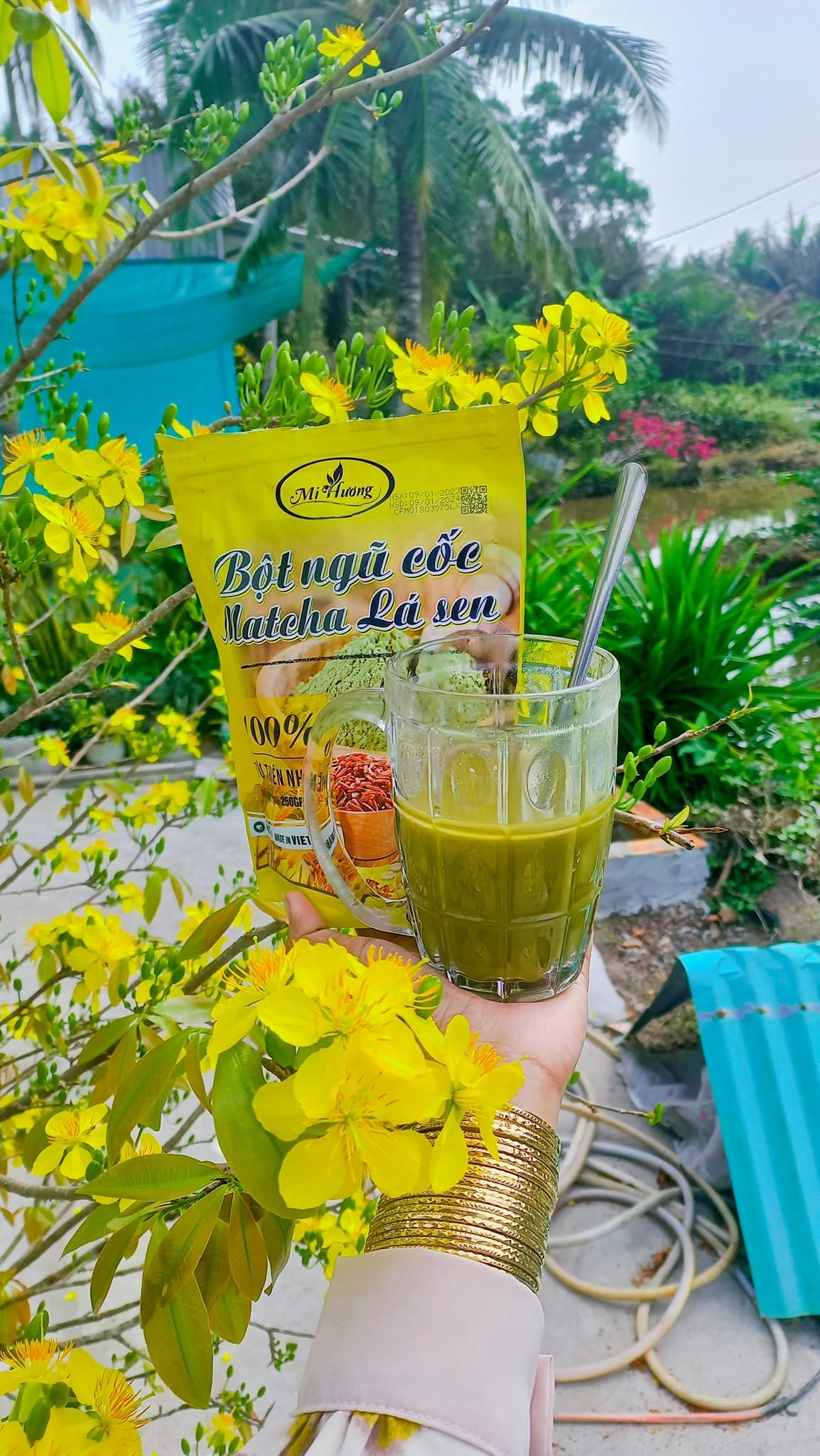 Bột Ngũ Cốc Matcha Lá Sen Giảm Mỡ Bụng Mị Hương