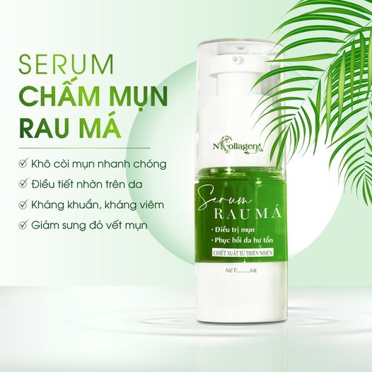 Serum Chấm Mụn Rau Má N Collagen