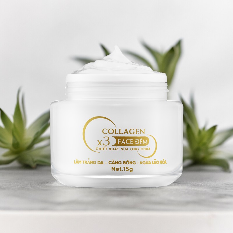 Combo Kem Face Đêm Collagen X3 TN Mỹ Phẩm Đông Anh