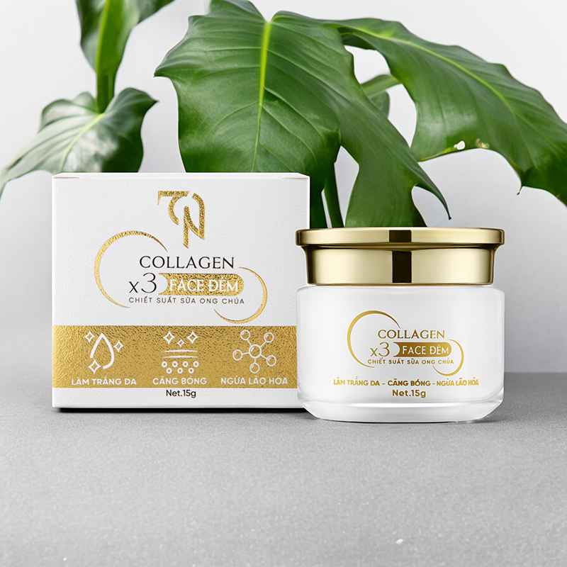 Combo Kem Face Đêm Collagen X3 TN Mỹ Phẩm Đông Anh