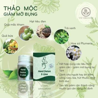 Viên Xơ Detox Cell Thảo Mộc Thiên Nhiên Herb Detox S Line VIC