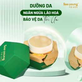 Kem Face Xanh Dưỡng Trắng Lục Tảo Soo Young – Green Algae Whitening