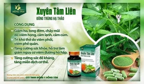 Viên uống Xuyên Tâm Liên Đông Trùng Hạ Thảo Đông Y Hồng Tâm