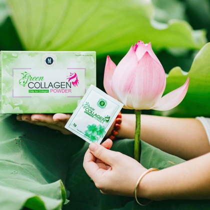 Diệp lục collagen giúp đem đến khả năng làm tăng thể trạng của cơ thể, giúp làn da trở nên đẹp hơn