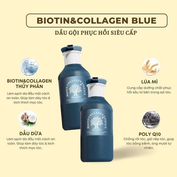 Dầu gội xả biotin và collagen Essence 500ml  Mẫu mới xanh blue