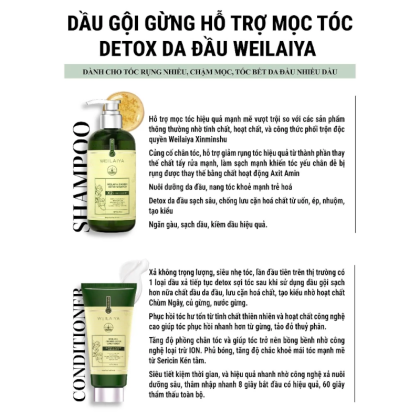 Combo Dầu Gội Xả Gừng Weilaiya Màu Xanh Zingiber Detox X2 Ginger Essence Giúp Tóc Bóng Khỏe Giảm Gãy Rụng