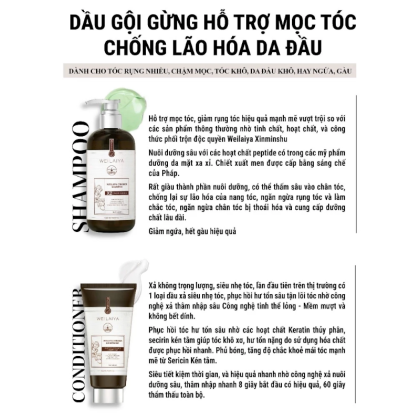 Bộ Dầu Gội Xả Gừng Nâu Weilaiya là giải pháp giúp bạn đánh bật những tác nhân gây tổn hại cho mái tóc