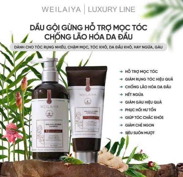 Bộ Dầu Gội Xả Gừng Nâu Weilaiya Zingiber X2 Ginger Essence