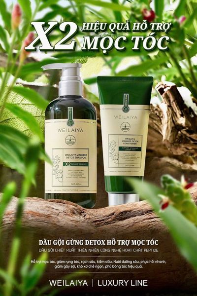 Mùa này gội dầu gừng bao phê ạ Phiên bản mới Gừng Weilaiya Luxury X2 mọc tóc