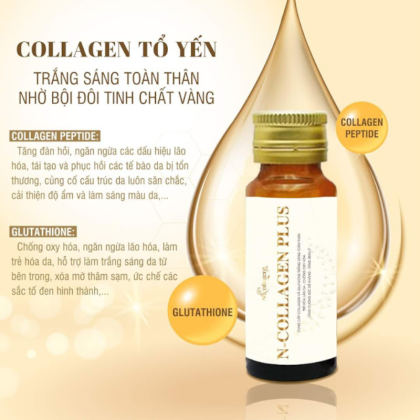 Nước Uống Collagen Tổ Yến Đông Trùng N-Collagen Plus Dưỡng Trắng Da Hộp 15 Lọ x 20ml