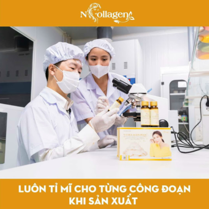 Nước Uống Collagen Tổ Yến Đông Trùng N-Collagen Plus Dưỡng Trắng Da