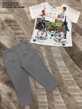 Bộ đồ áo voan lụa quần cát nhật xe đạp