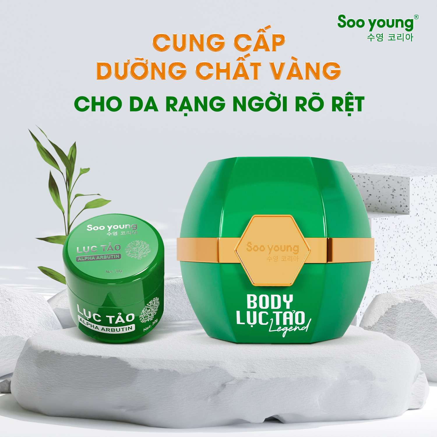 Khám Phá Bí Ẩn Chứa Trong Body Lục Tảo Legend Soo Young