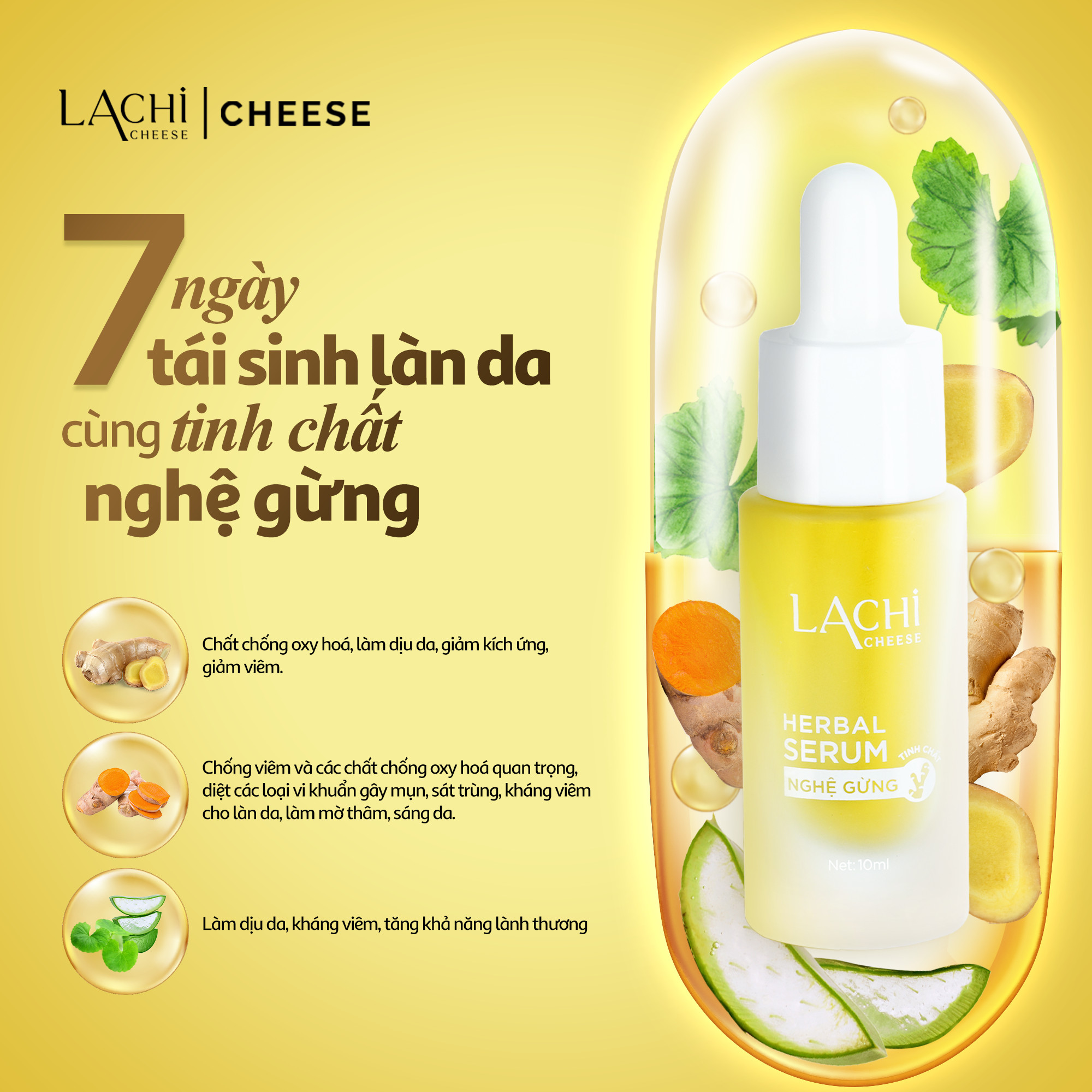 Tinh Chất Nghệ Gừng Lachi Cheese Chính Hãng