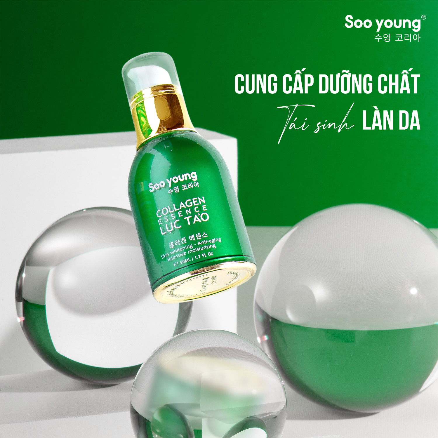 Collagen Essence Lục Tảo nhà Sooyoung bảo bối cho làn da không tuổi