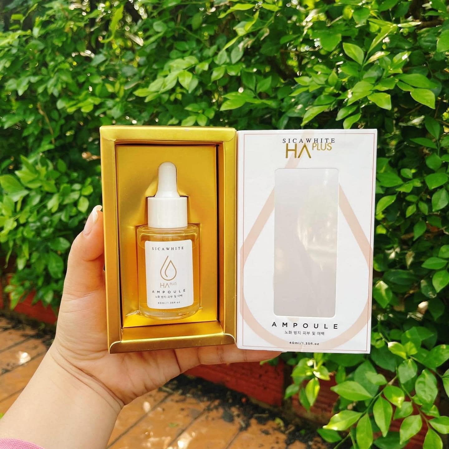 Buổi sáng mà không thoa Serum Ampoule HA SiCa White thì thật sự có lỗi với làn da