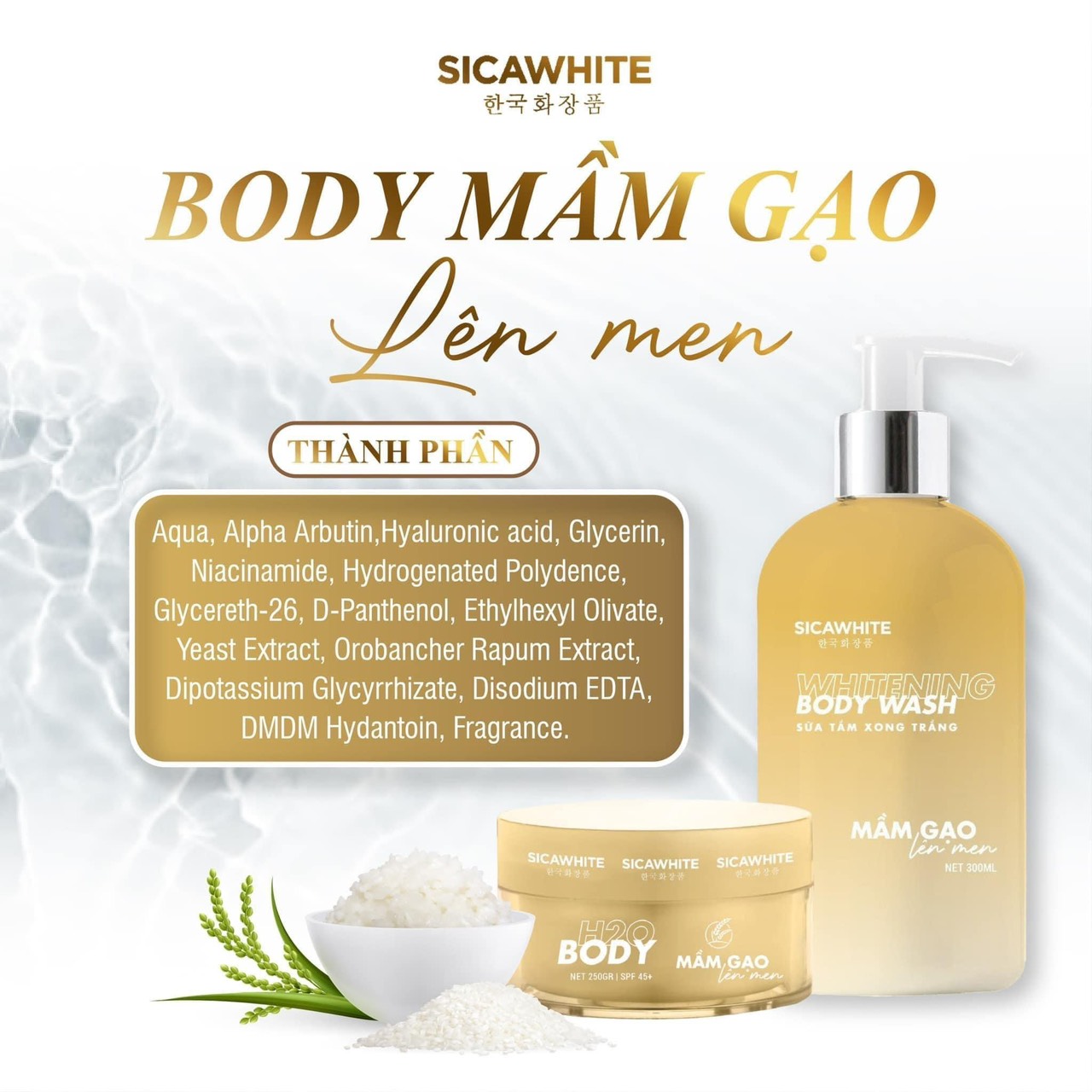 Chờ em Body lâu nay cuối cùng cũng lộ diện chính thức ra mắt Body Mần Gạo Lên Men