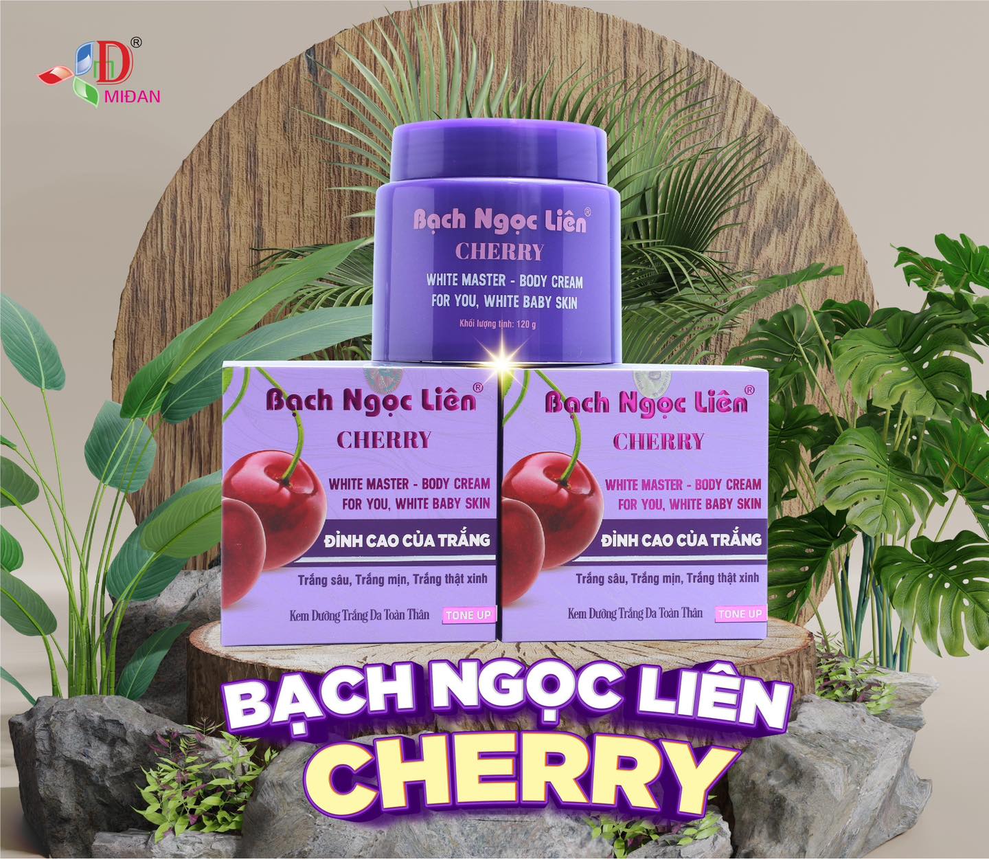 Bạch Ngọc Liên Cherry trắng sâu trắng mịn trắng dài lâu