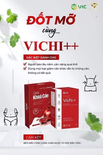 Viên Uống Giảm Cân Vichi++ VIC Organic